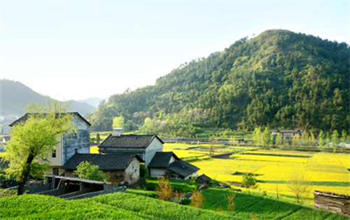 农村房屋风水好不好要看哪些地方 农村房子怎么看风水好不好