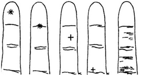 食指怎么从纹路看运势 食指从纹路看运势要怎么看