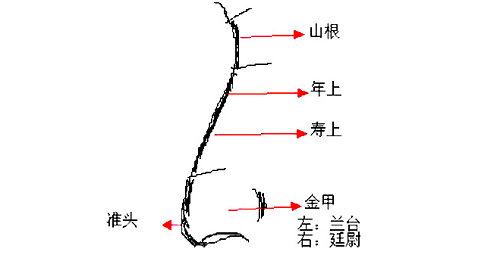 女人鼻子上的痣图解 女人鼻子上的痣图解和位置