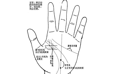 看手相算命图解男人 看手相算命图解女性左手