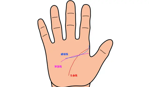 事业线生命线爱情线分别是哪个 事业线生命线爱情线手相