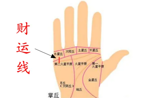 财运线图解大全男 男人手相怎么看财运线