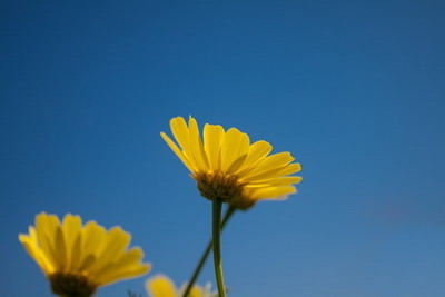 夏至吃鸡蛋的寓意,夏至要做什么?