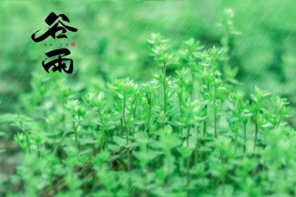 2022年谷雨坟墓可以立碑吗？立碑有什么讲究吗？