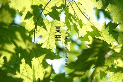 夏至这天下雨和不下雨有什么说法？