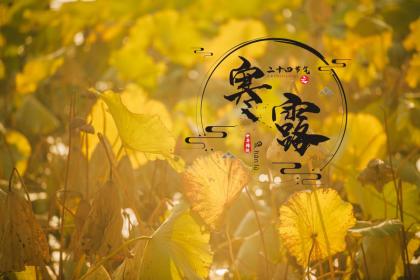 2022年寒露节气结婚好不好？结婚要避开24节气吗？