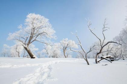 2022年大雪节气会下大雪吗？大雪节气下雪好不好？