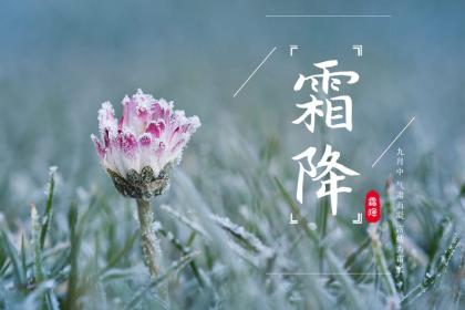 2022年霜降节气怀孕好吗？这一天怀孕几月生宝宝