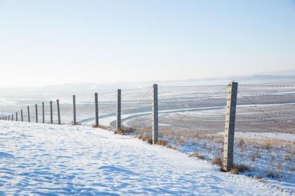 大雪跟大寒哪个节气更冷？大雪节气过后几天进入数九天？