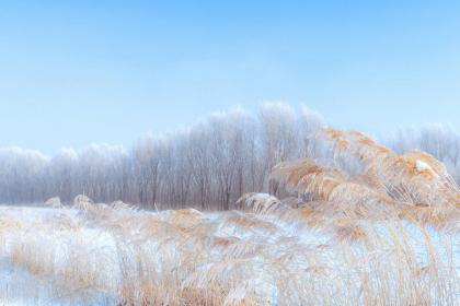 不同年份大雪节气出生的生肖属猴人命运怎么样？