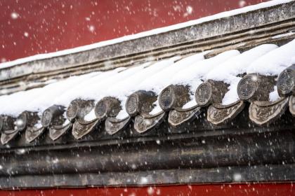 属龙人在小雪节气出生的好吗？是好命吗