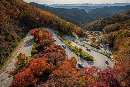 秋社日扫墓祭祀的由来和讲究