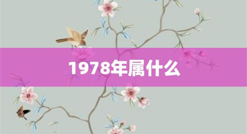 1978年属什么生肖属相 1978年是属什么生肖