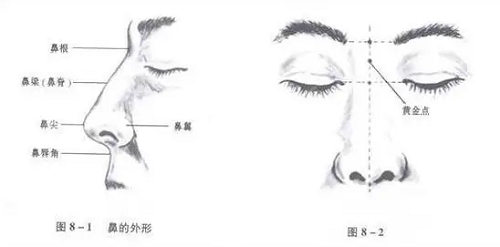 女孩朝天鼻好不好 朝天鼻的人怎么样