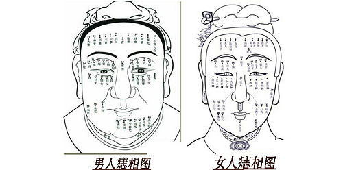 脸上的痣怎么看面相 怎么看面相算命图解