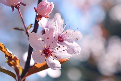 5招教你赶走烂桃花