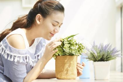 采光不好的房子住久了会怎么样 房屋风水解析