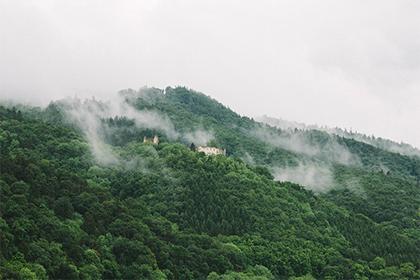 教育属于什么五行 哪些人适合做教育