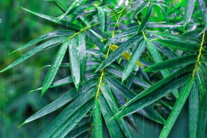 下雨天出远门好吗 遇事总下雨是什么征兆