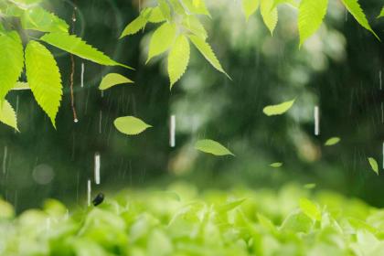 为什么清明节下雨 清明时节的气候特征