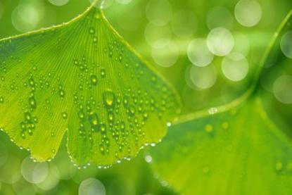 出门谈生意下雨好不好 做生意的风水讲究