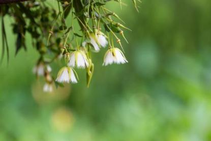 杭州霜降吃什么 霜降节气的由来