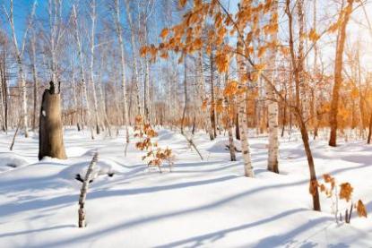 海南小雪吃什么 南方小雪的饮食习俗