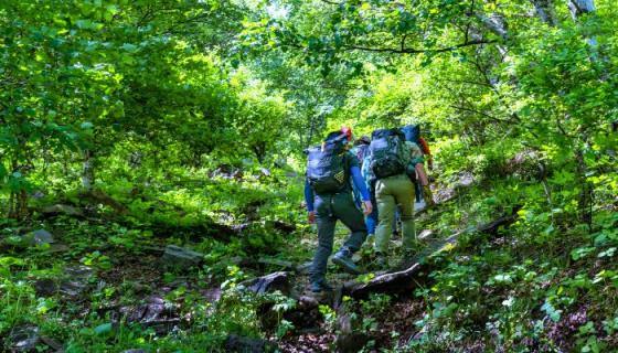 梦见居住高山是什么意思 梦见居住高山是什么预兆