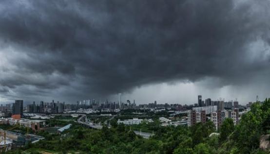 梦见雷电击中树木什么意思 梦见雷电击中树木预示什么