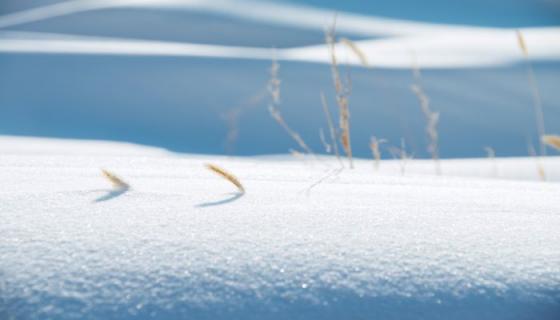 梦见大雪纷飞什么意思 梦见大雪纷飞预示什么