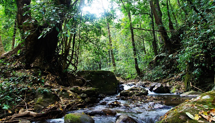 梦见顶着一座山是什么意思 梦见顶着一座山有什么预兆