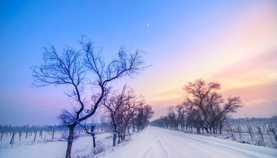 女人梦见雪有什么预兆