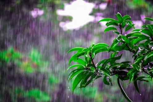 梦到下雨天什么意思