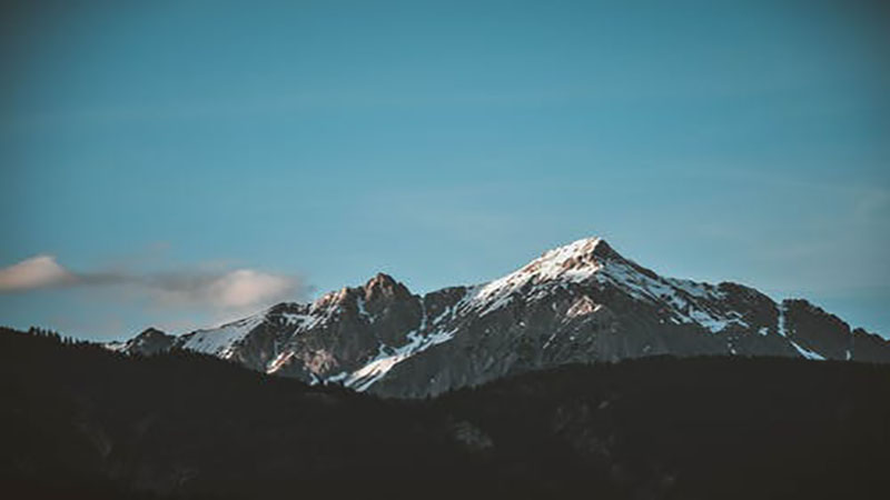 梦见和别人一起下山