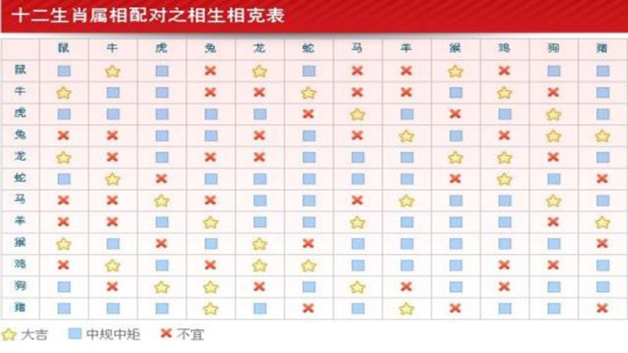 属猪跟属马的合不合