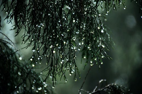 梦到大雨大水是什么意思