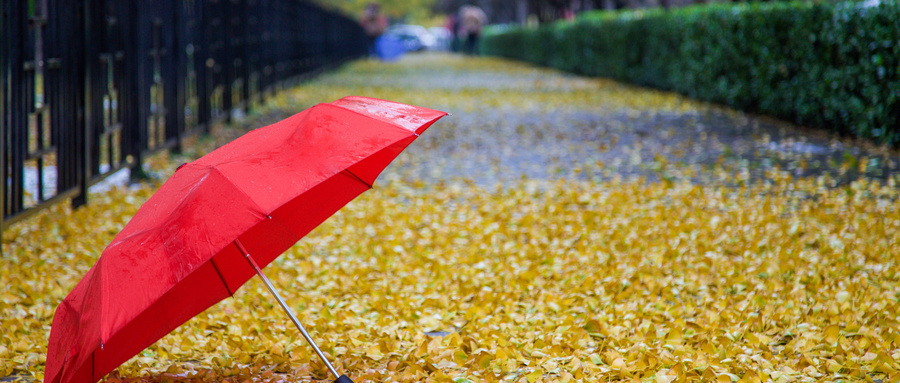 梦到下雨打伞