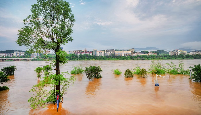 梦见发大水来势汹汹