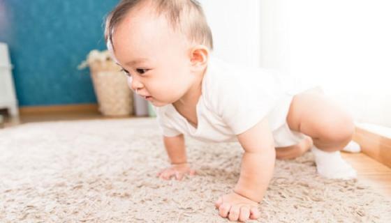 梦见别人家小孩子死了又活