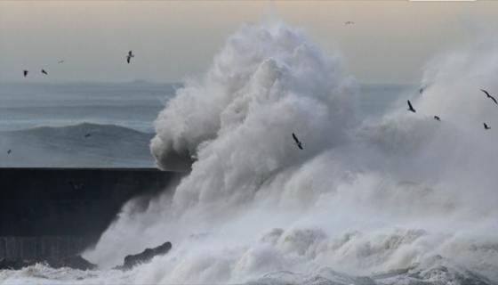 梦见涨大水是什么征兆梦见涨大水淹死很多人