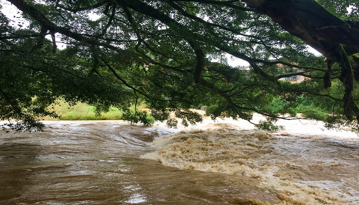 梦见大水淹路在水里走