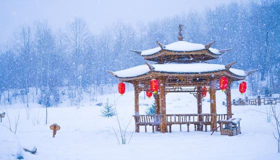 女人梦见白白的雪地