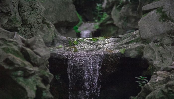 梦见小河流水很清澈