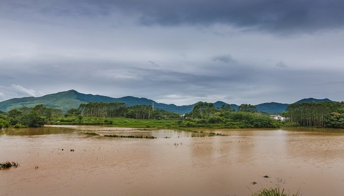 梦见房子外面就是大水