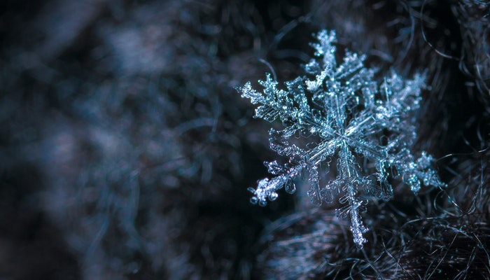 梦见下大雪了