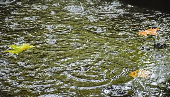 女人梦见下雨路上全是水