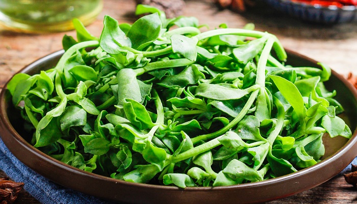  梦见和别人一起挖野菜