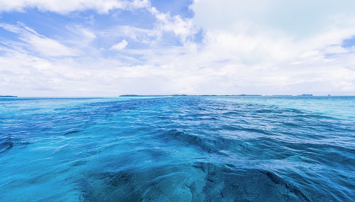 梦见大海水很清澈