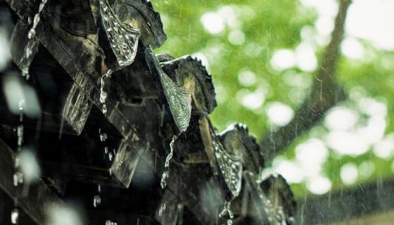 女人梦见下大雨是什么预兆