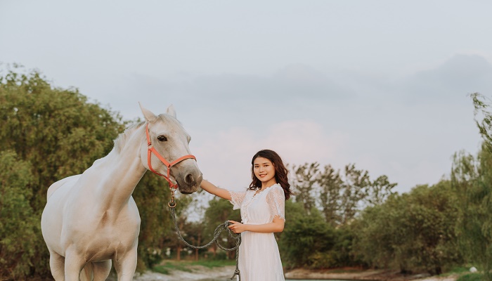 女人梦见非常漂亮的白马